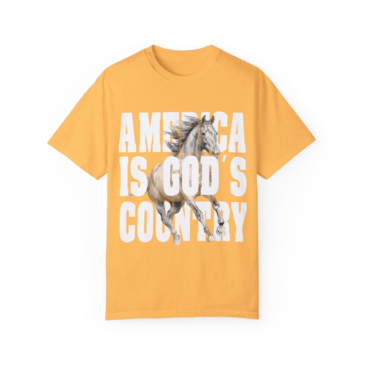 America Is God's Country Christian Shirt